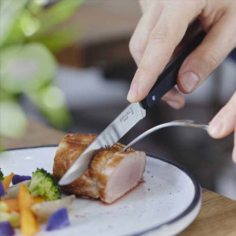 Coffret 4 couteaux de table Bon Appétit Pro - OPINEL manche noir polymère doux