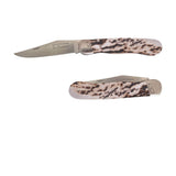 Couteau pliant Le Pionnier Bois de Cerf avec Etui OFFERT - DOURIS CHASTEL