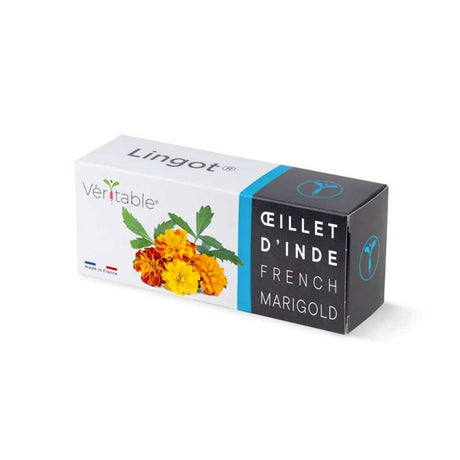 Lingot Œillet d'Inde - VERITABLE promotion