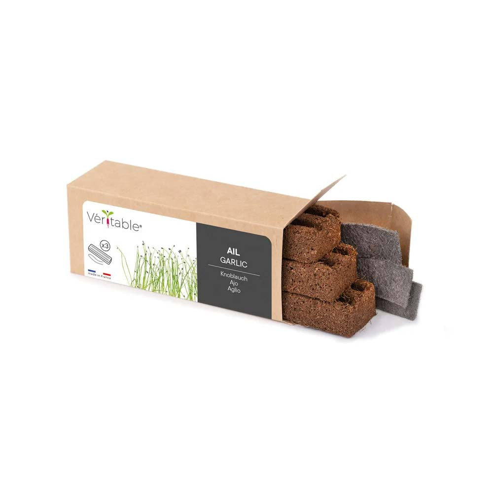 3 Micropousses Ail - VERITABLE 3 micropousses inclues pour 3 récoltes