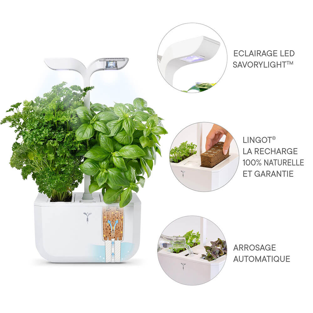 Explications du fonctionnement du Potager Exky Classic - VERITABLE