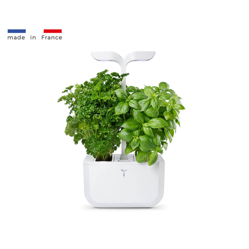 Potager Exky Classic - VERITABLE