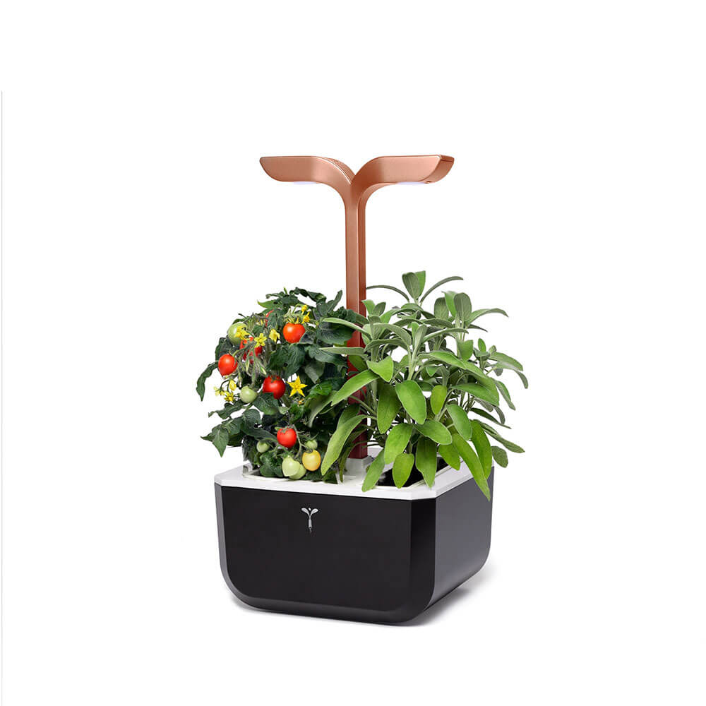 Potager d'intérieur Exky Smart Cuivre avec 2 lingots OFFERTS vue du côté- VERITABLE