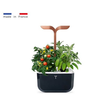 Potager d'intérieur Exky Smart Cuivre avec 2 lingots OFFERTS - VERITABLE