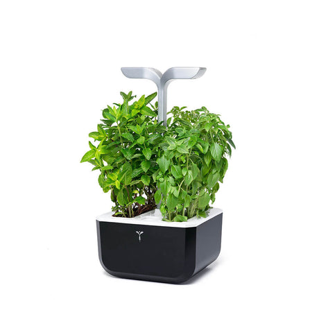 Potager d'intérieur Exky Smart Noir avec 2 lingots OFFERTS vue de côté  - VERITABLE