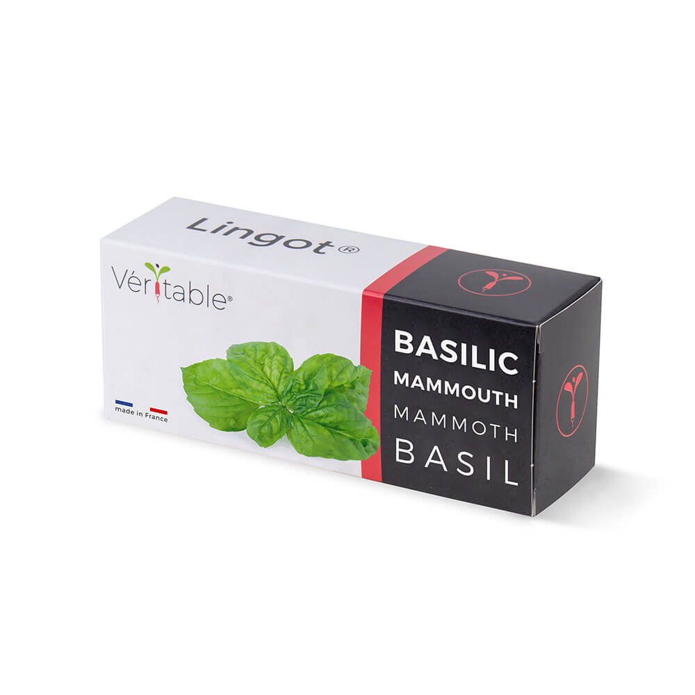 Lingot Basilic Mammouth emballé - VERITABLE