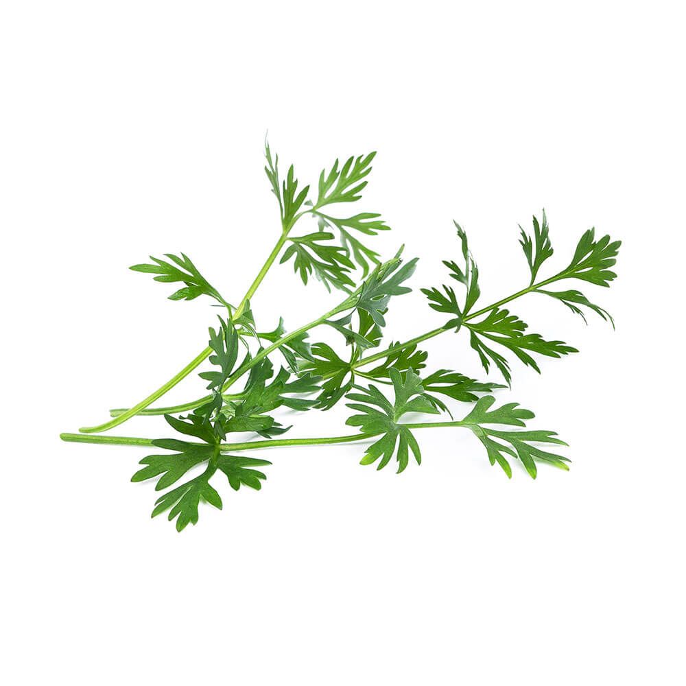 Lingot Cumin des Prés BIO - VERITABLE
