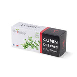 Lingot Cumin des Prés BIO emballé - VERITABLE