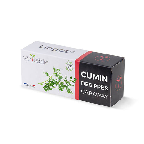 Lingot Cumin des Prés BIO emballé - VERITABLE