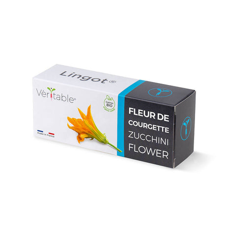 Lingot Fleur de Courgette BIO emballé - VERITABLE