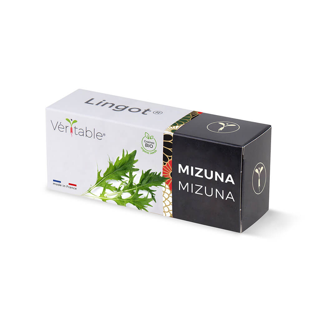 Lingot Mizuna BIO emballé - VERITABLE