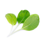 Lingot Pak Choï BIO - VERITABLE