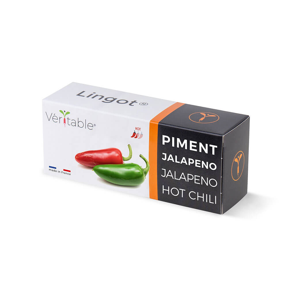 Lingot Jalapeno emballé - VERITABLE