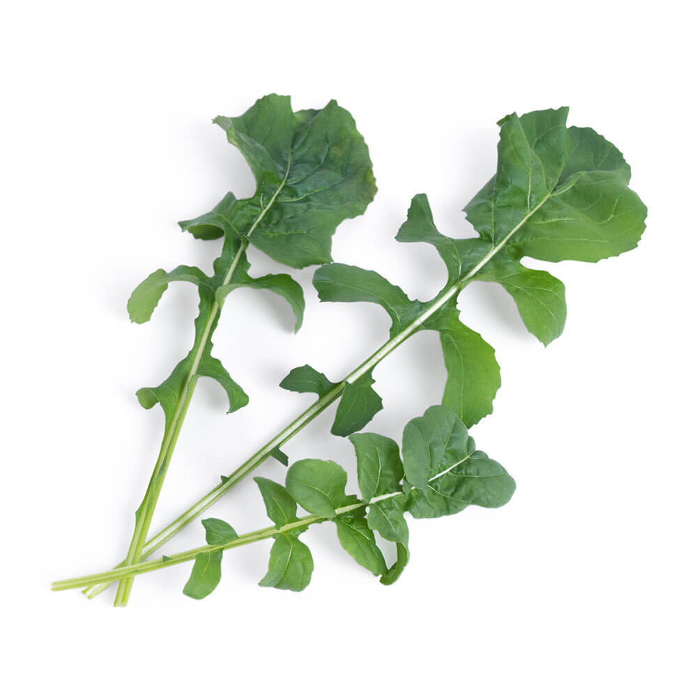 Lingot Roquette BIO - VERITABLE