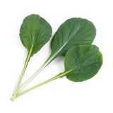 Lingot Tatsoi BIO - VERITABLE