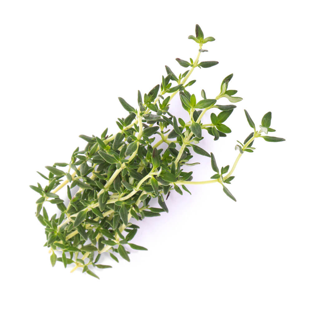 Lingot Thym BIO - VERITABLE