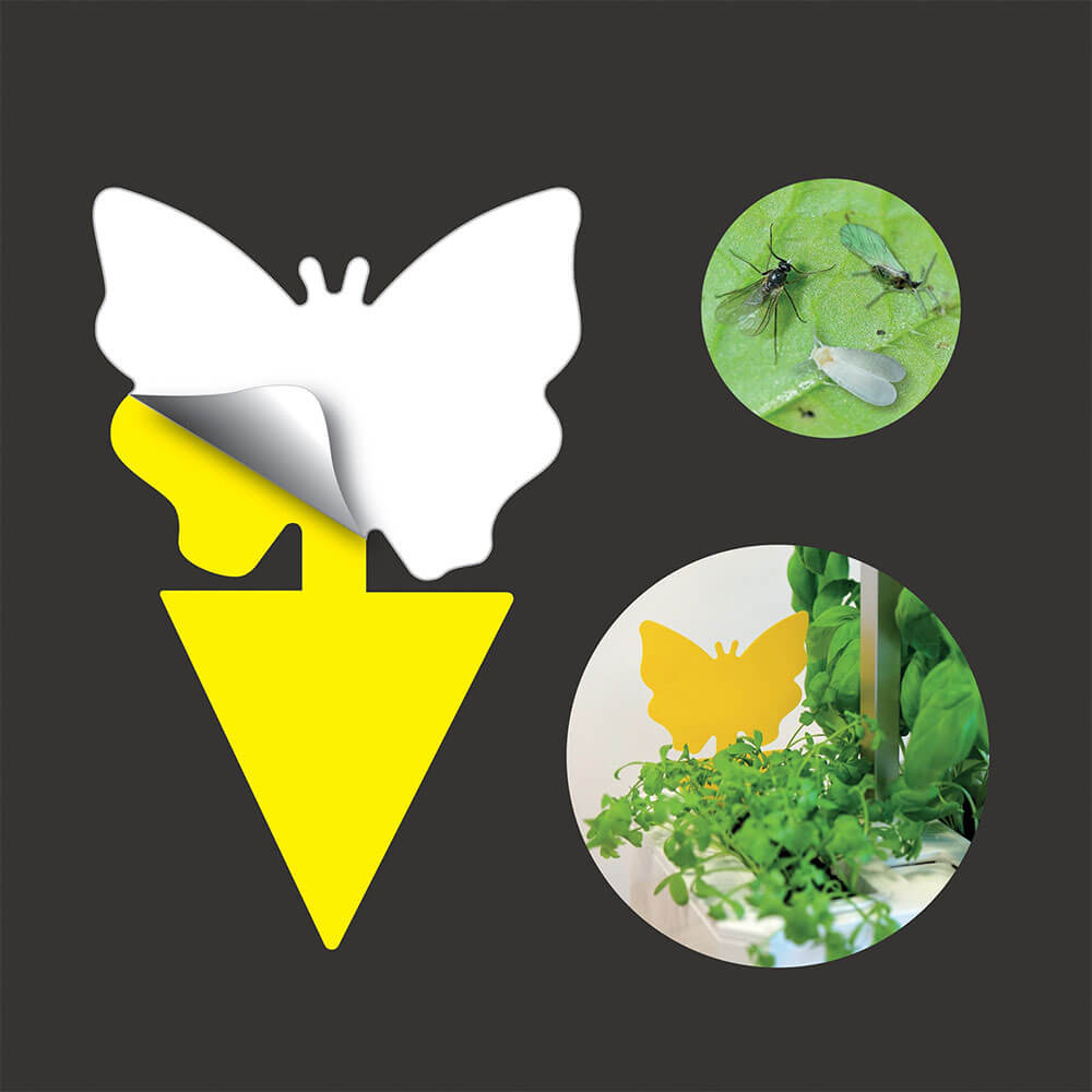 Détails d'un piège jaune collant contre les insectes - VERITABLE