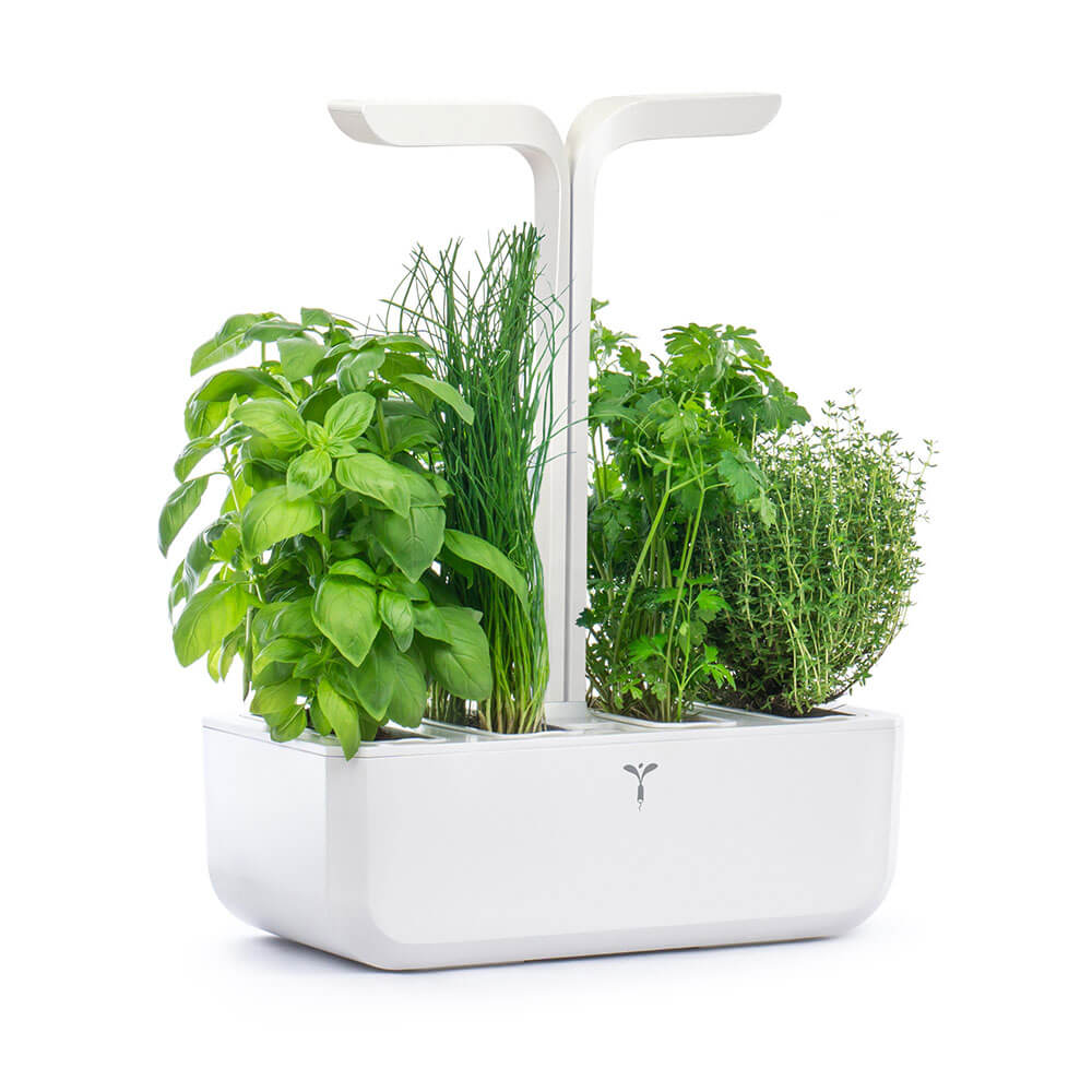 Potager d'intérieur Véritable Classic avec 4 lingots OFFERTS vue de côté - VERITABLE