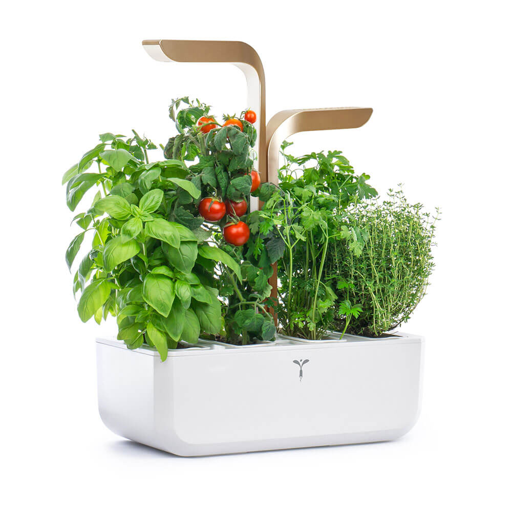Potager d'intérieur Connect Moonlight Gold avec 4 lingots OFFERTS vue de côté - VERITABLE