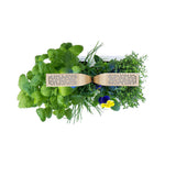 Potager d'intérieur Connect Moonlight Gold avec 4 lingots OFFERTS vue du dessus - VERITABLE
