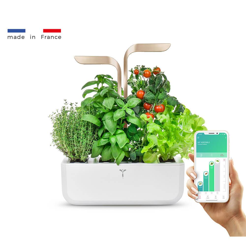 Potager d'intérieur Connect Moonlight Gold avec 4 lingots OFFERTS - VERITABLE
