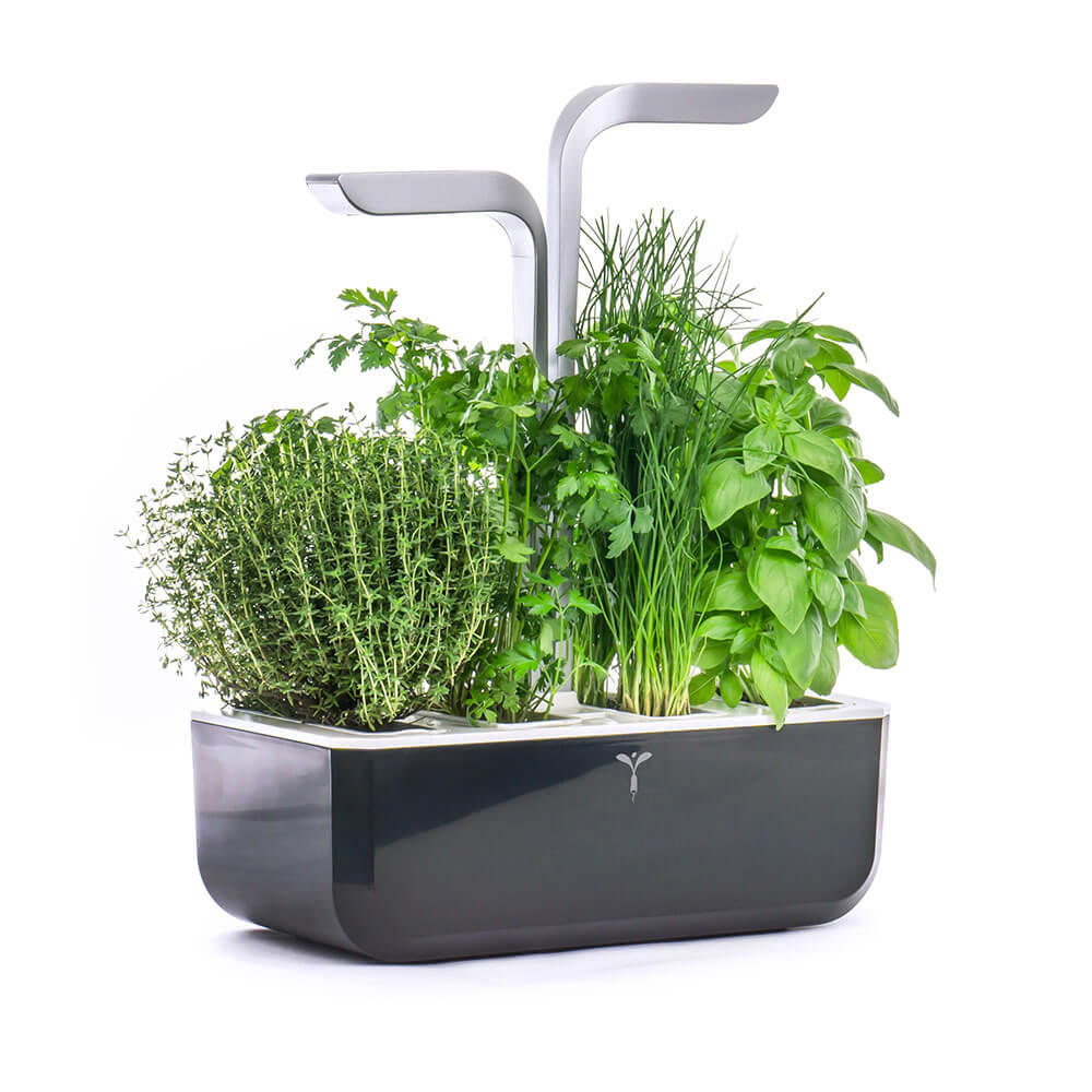 Potager d'intérieur Véritable Smart Noir avec 4 lingots OFFERTS vue de côté - VERITABLE