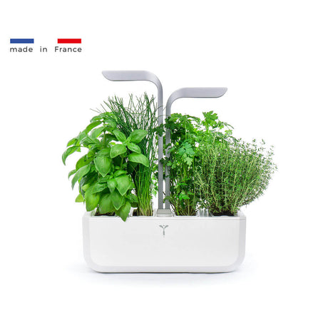 Potager d'intérieur Véritable Smart Blanc avec 4 lingots OFFERTS - VERITABLE